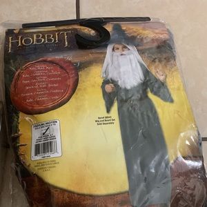 Gandalf costume & wig/beard